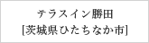 テラスイン勝田[茨城県ひたちなか市]